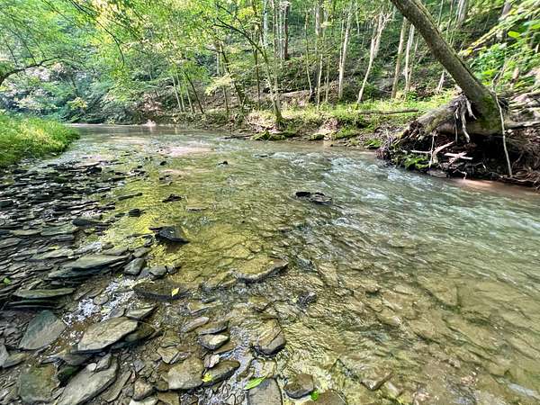 219 Acres of Recreational Land for Sale in Avella, Pennsylvania