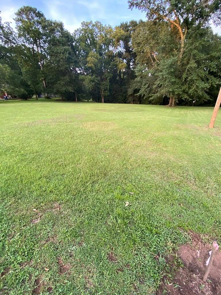 1.17 Acres of Land for Sale in Troy, Alabama