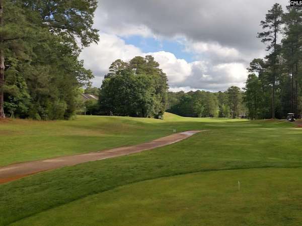 0.35 Acres of Residential Land for Sale in Chapin, South Carolina