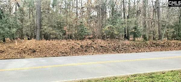 1.2 Acres of Residential Land for Sale in Chapin, South Carolina