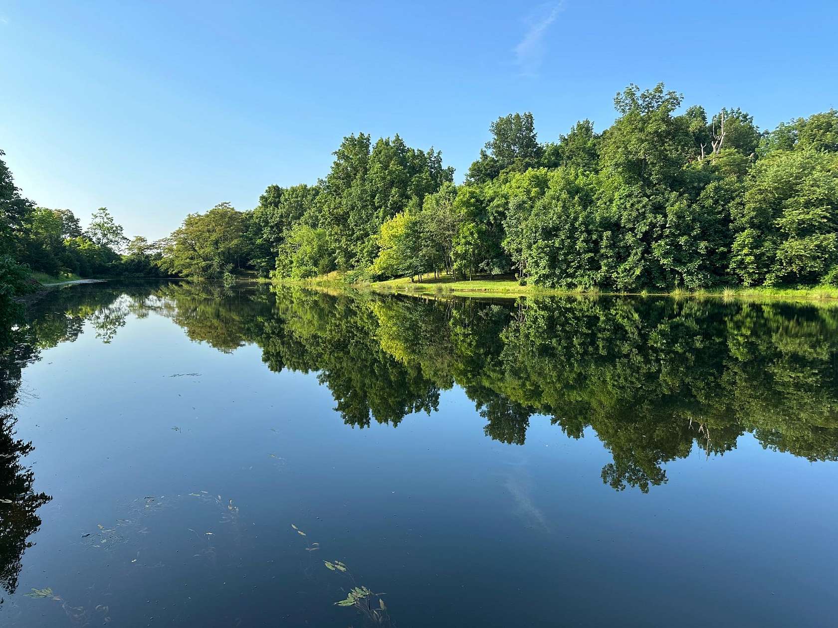 203 Acres of Land with Home for Sale in Cynthiana, Kentucky