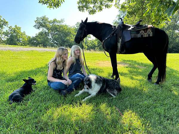 203 Acres of Land with Home for Sale in Cynthiana, Kentucky