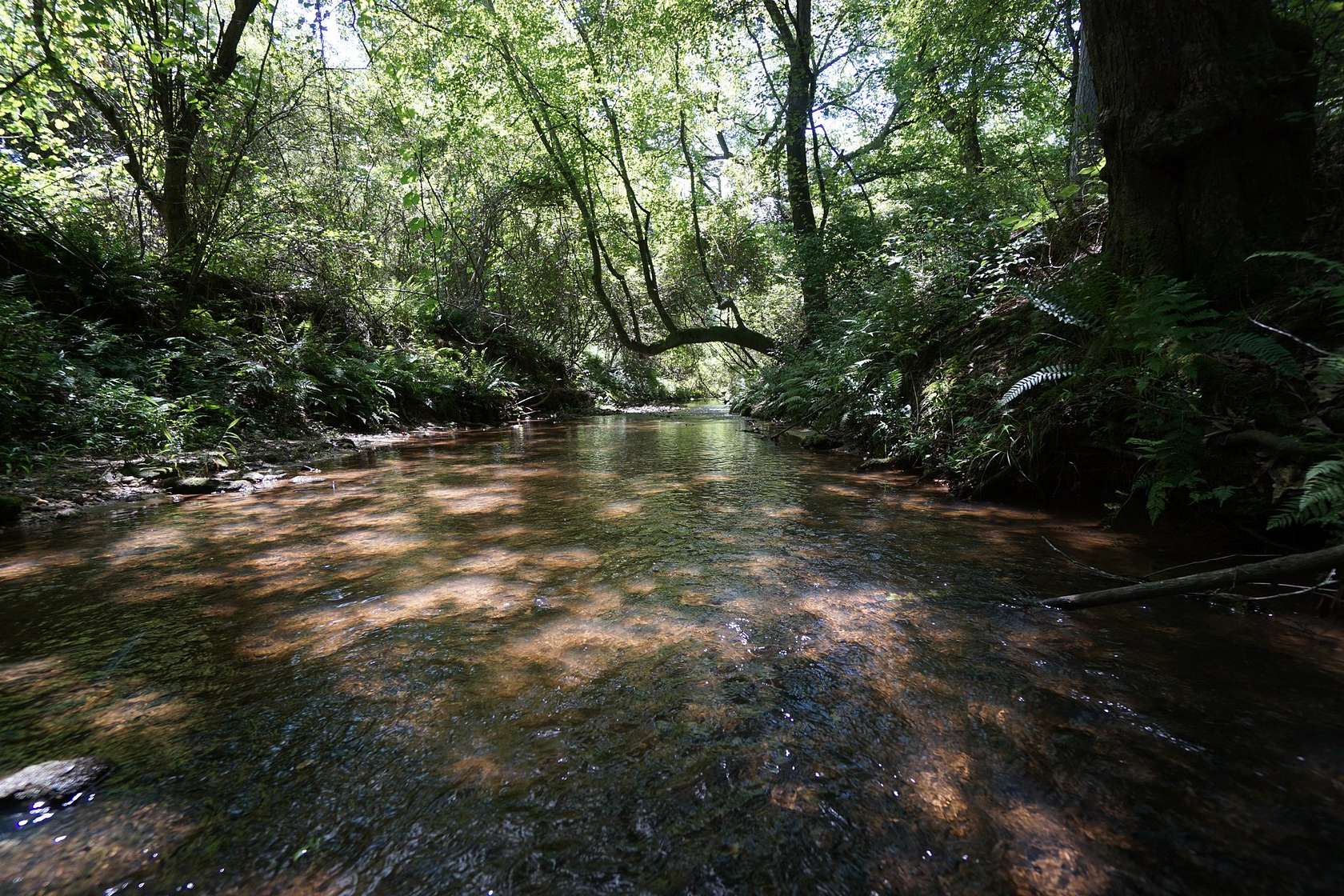 48.7 Acres of Agricultural Land for Sale in Stockbridge, Georgia