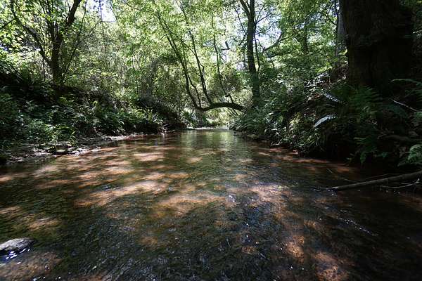 48.7 Acres of Agricultural Land for Sale in Stockbridge, Georgia