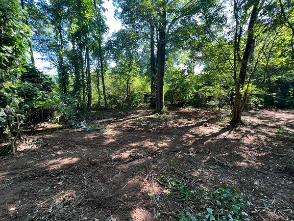 48.7 Acres of Land for Sale in Stockbridge, Georgia