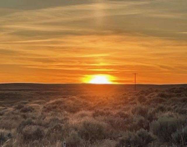 6.62 Acres of Agricultural Land for Sale in Harrington, Washington