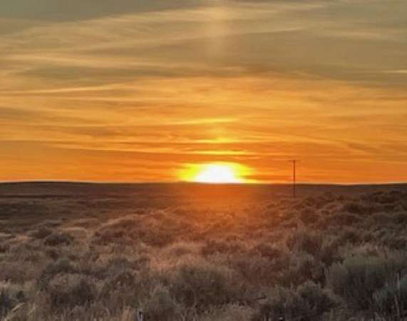 6.62 Acres of Agricultural Land for Sale in Harrington, Washington