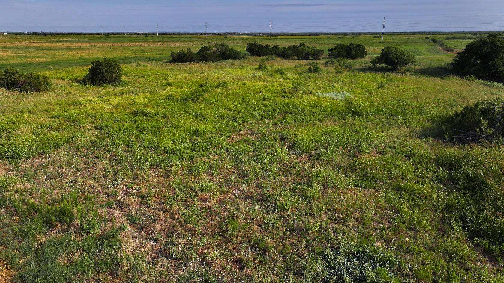 172 Acres of Recreational Land & Farm for Sale in Quanah, Texas