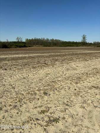 45.9 Acres of Land for Sale in Magnolia, North Carolina