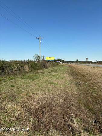 45.9 Acres of Mixed-Use Land for Sale in Magnolia, North Carolina
