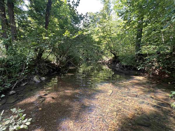 41.6 Acres of Recreational Land for Sale in Leslie, Arkansas