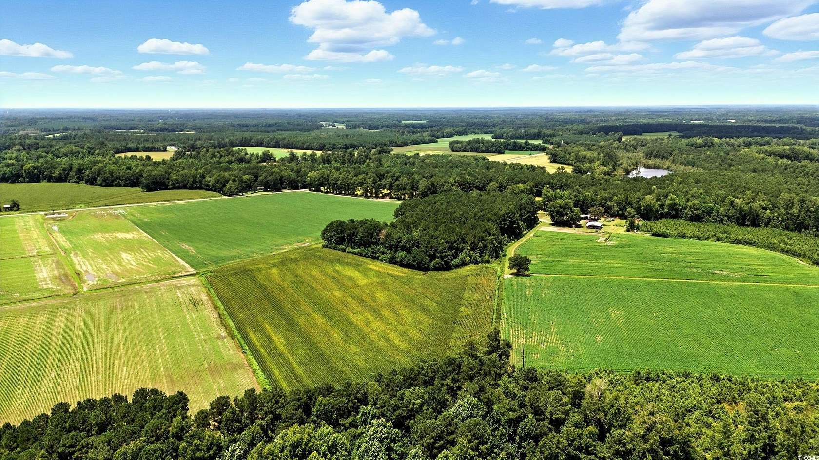 15.9 Acres of Land for Sale in Nichols, South Carolina