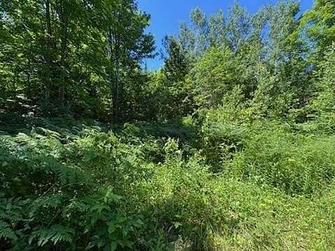 320 Acres of Recreational Land for Sale in Newberry, Michigan