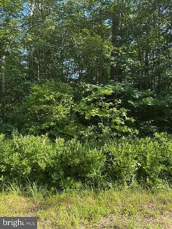 0.25 Acres of Land for Sale in Colonial Beach, Virginia