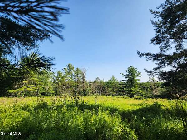 30.6 Acres of Land for Sale in Delanson, New York