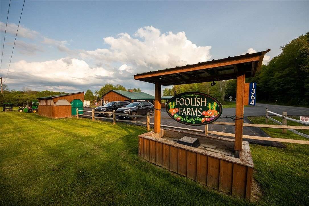 30.9 Acres of Improved Land for Sale in Mount Vision, New York