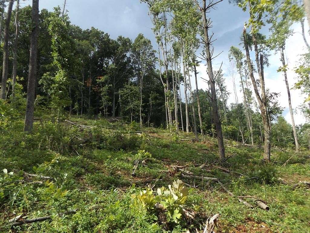 5.83 Acres of Residential Land for Sale in Laurel Fork, Virginia