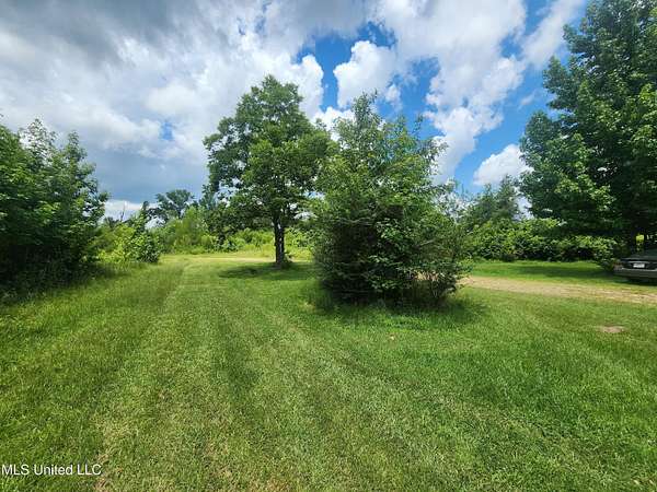 61.9 Acres of Land for Sale in Myrtle, Mississippi
