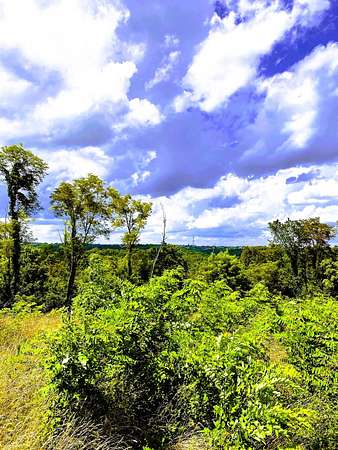 5 Acres of Land for Sale in Williamstown, Kentucky