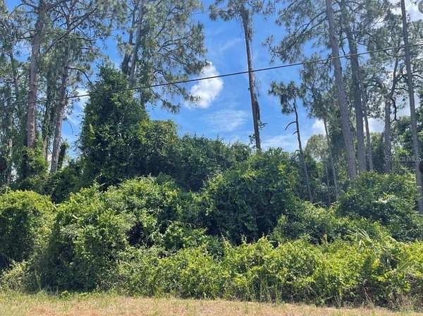 0.31 Acres of Land for Sale in North Port, Florida
