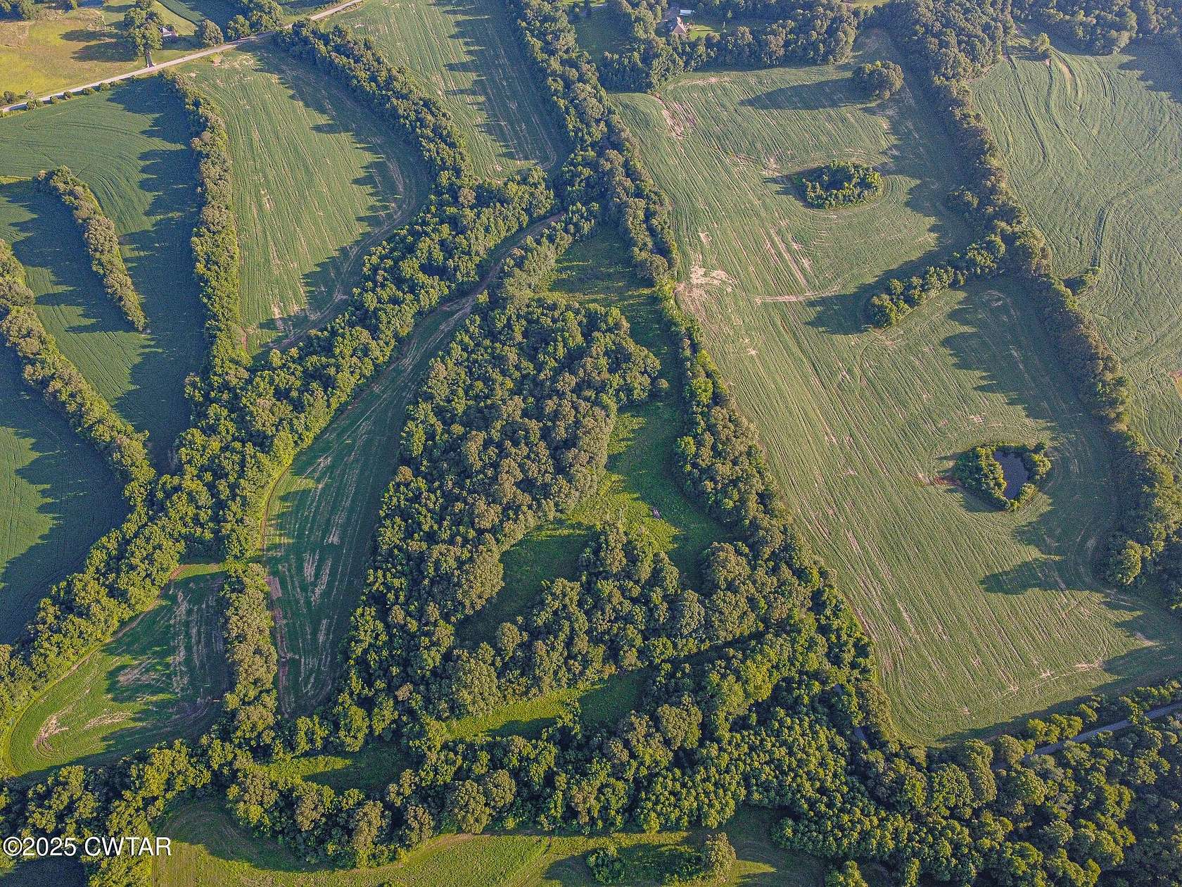 18 Acres of Recreational Land & Farm for Sale in Brownsville, Tennessee