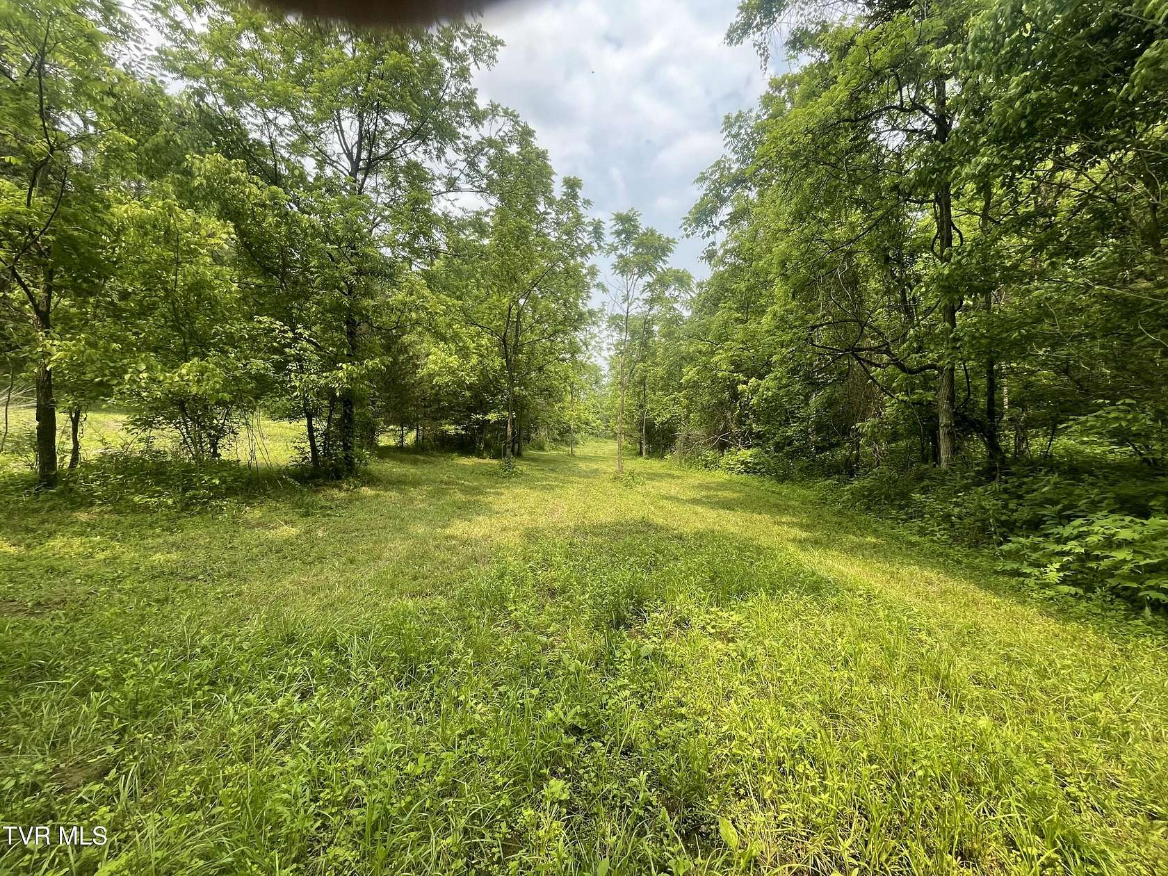 4 Acres of Land for Sale in Eidson, Tennessee