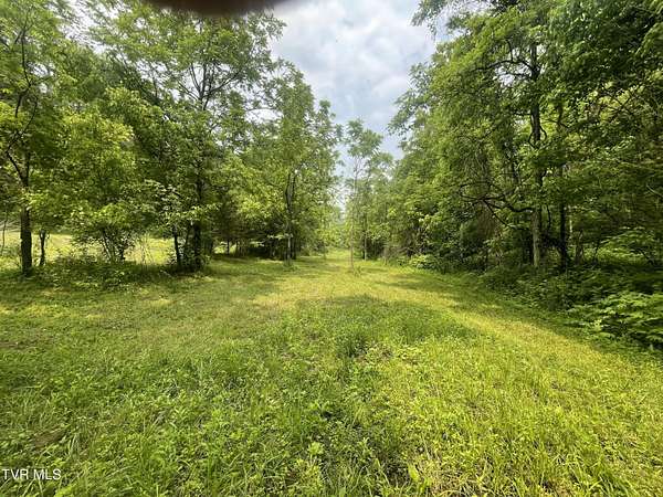 4 Acres of Land for Sale in Eidson, Tennessee