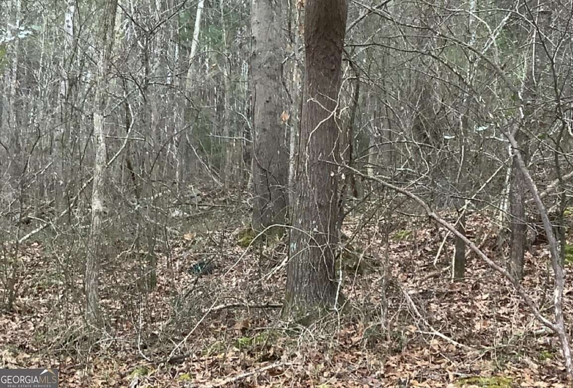 0.74 Acres of Residential Land for Sale in Summerville, Georgia