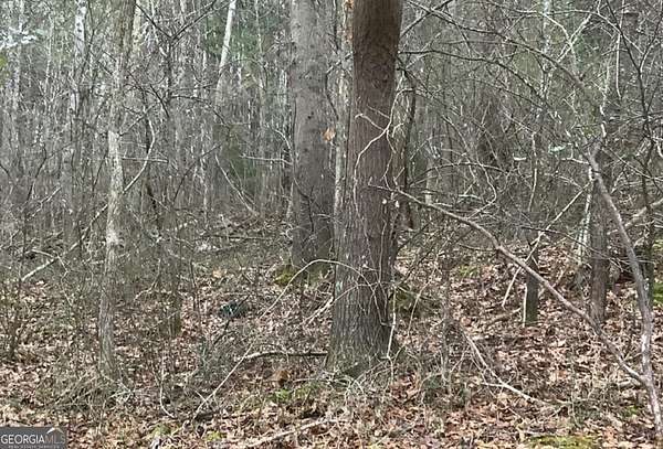 0.74 Acres of Residential Land for Sale in Summerville, Georgia