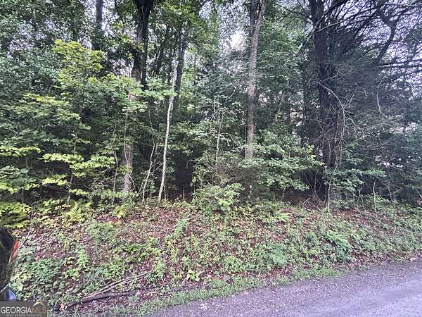 1 Acre of Land for Sale in Sautee-Nacoochee, Georgia