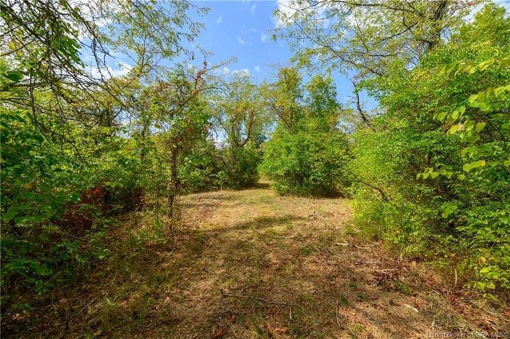 25 Acres of Land for Sale in Patriot, Indiana