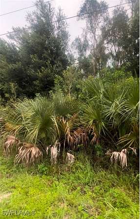 0.26 Acres of Land for Sale in Lehigh Acres, Florida