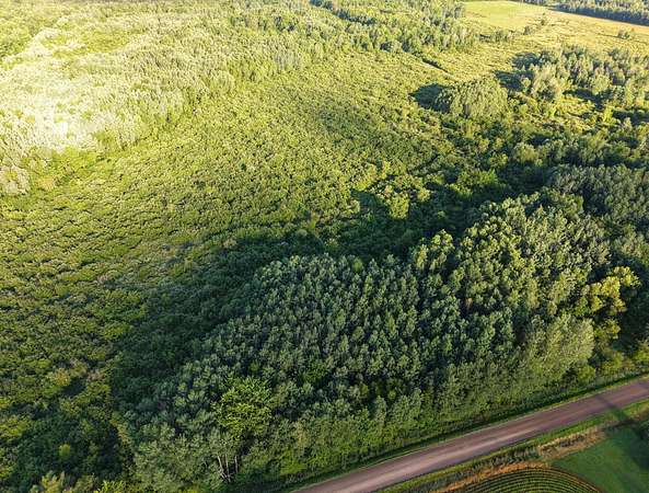 40 Acres of Land for Sale in Curtiss, Wisconsin