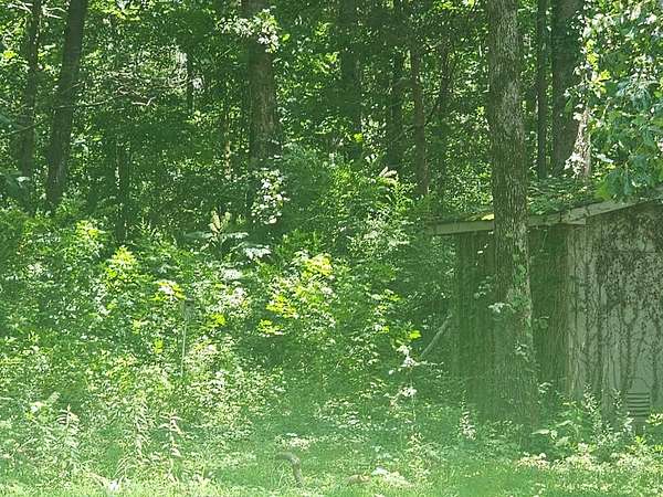 2.68 Acres of Residential Land for Sale in Huntingdon, Tennessee