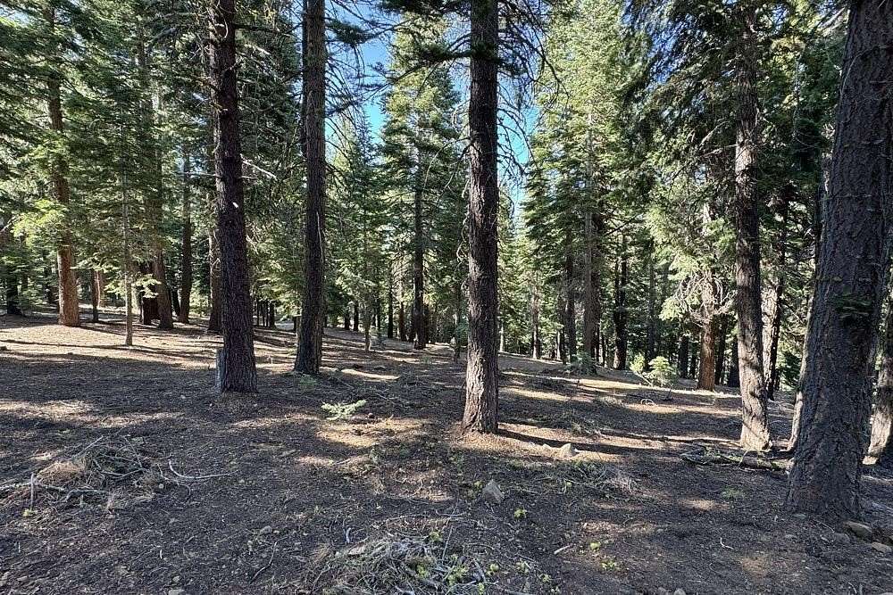 0.31 Acres of Residential Land for Sale in Truckee, California