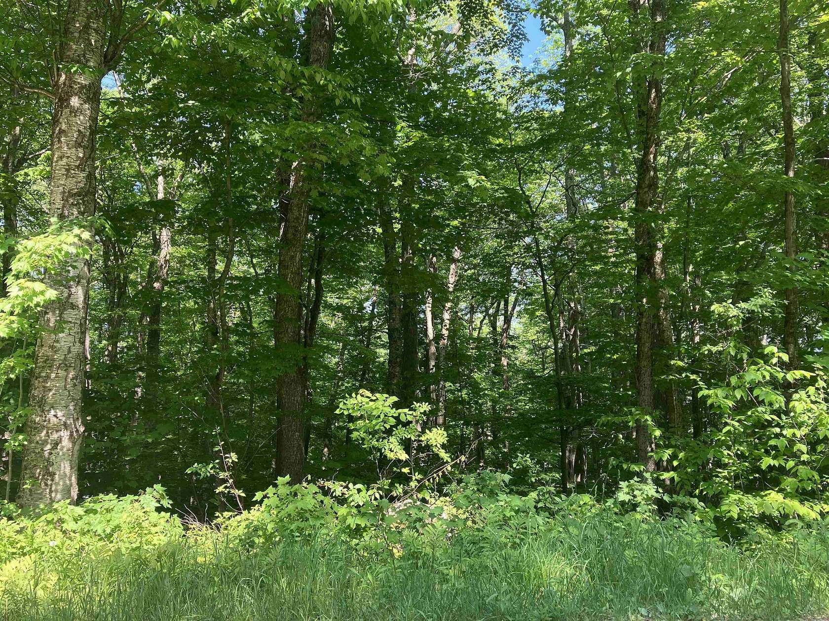 0.5 Acres of Residential Land for Sale in Wilmington, Vermont