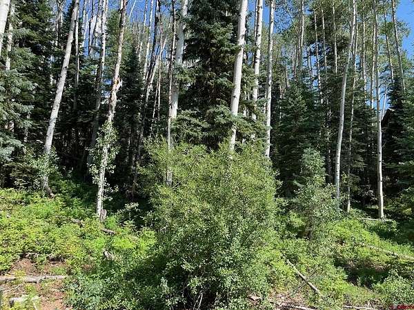 0.26 Acres of Residential Land for Sale in Durango, Colorado