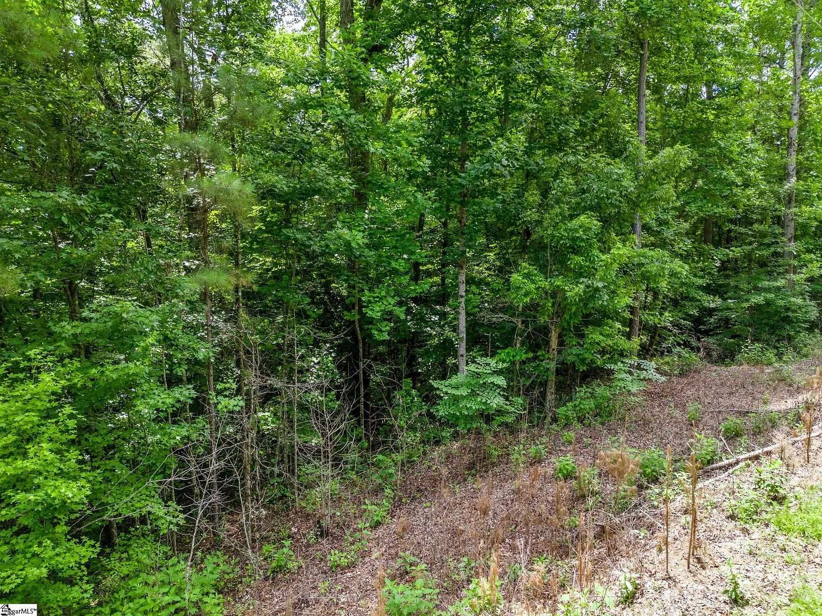9.2 Acres of Land for Sale in Fountain Inn, South Carolina