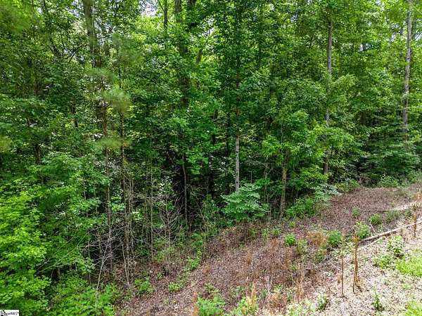 9.2 Acres of Land for Sale in Fountain Inn, South Carolina