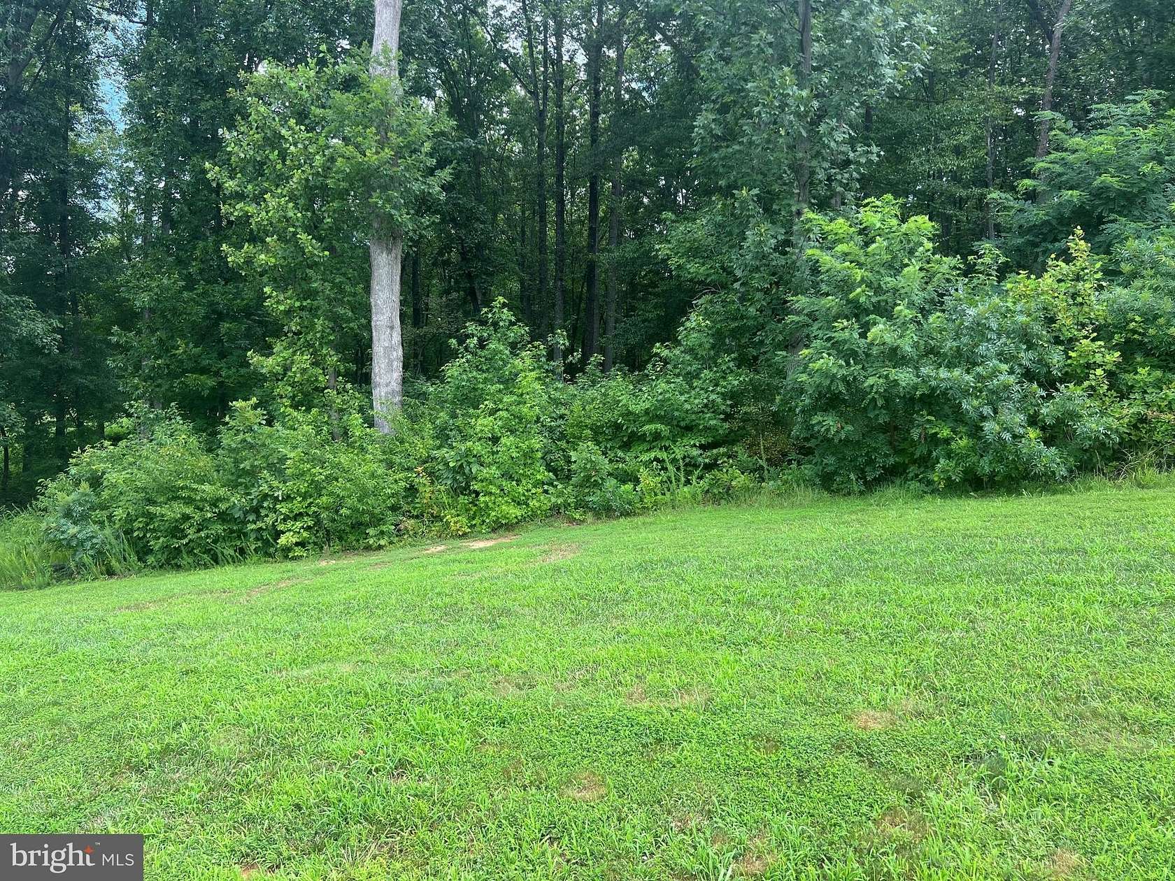 1 Acre of Residential Land for Sale in Mineral, Virginia