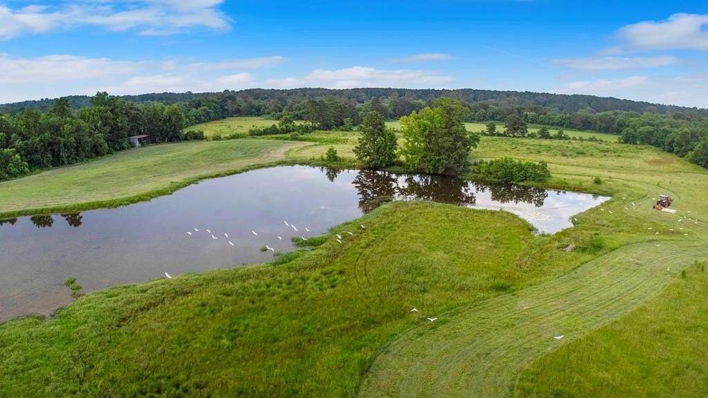 114 Acres of Agricultural & Residential Land for Sale in San Augustine, Texas
