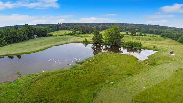 114 Acres of Agricultural & Residential Land for Sale in San Augustine, Texas