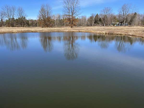 20 Acres of Land for Sale in Hesperia, Michigan