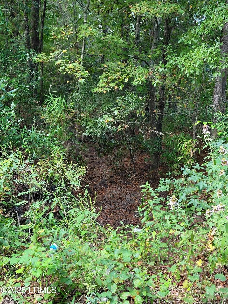 1 Acre of Residential Land for Sale in Ridgeland, South Carolina