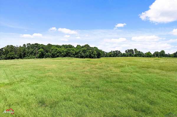 41.7 Acres of Recreational Land for Sale in Leesburg, Texas