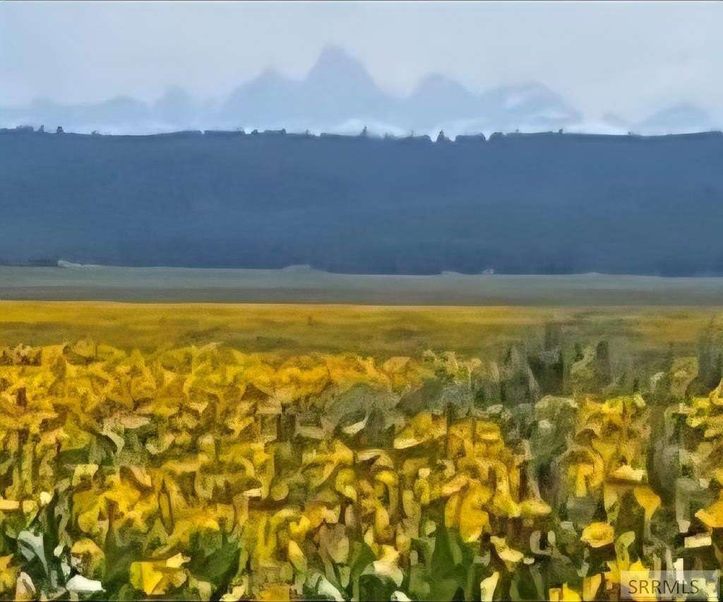 2.5 Acres of Land for Sale in Island Park, Idaho