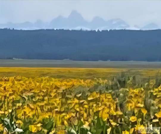 2.5 Acres of Land for Sale in Island Park, Idaho