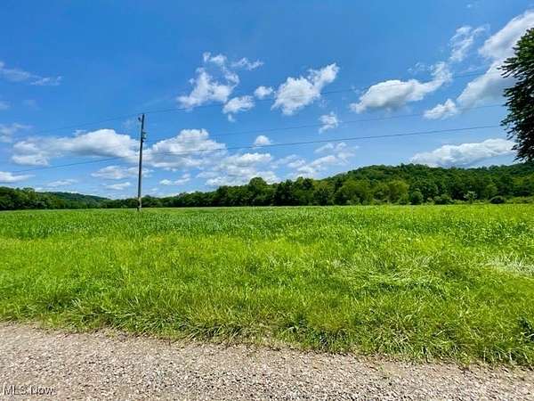 52.9 Acres of Recreational Land for Sale in Kimbolton, Ohio