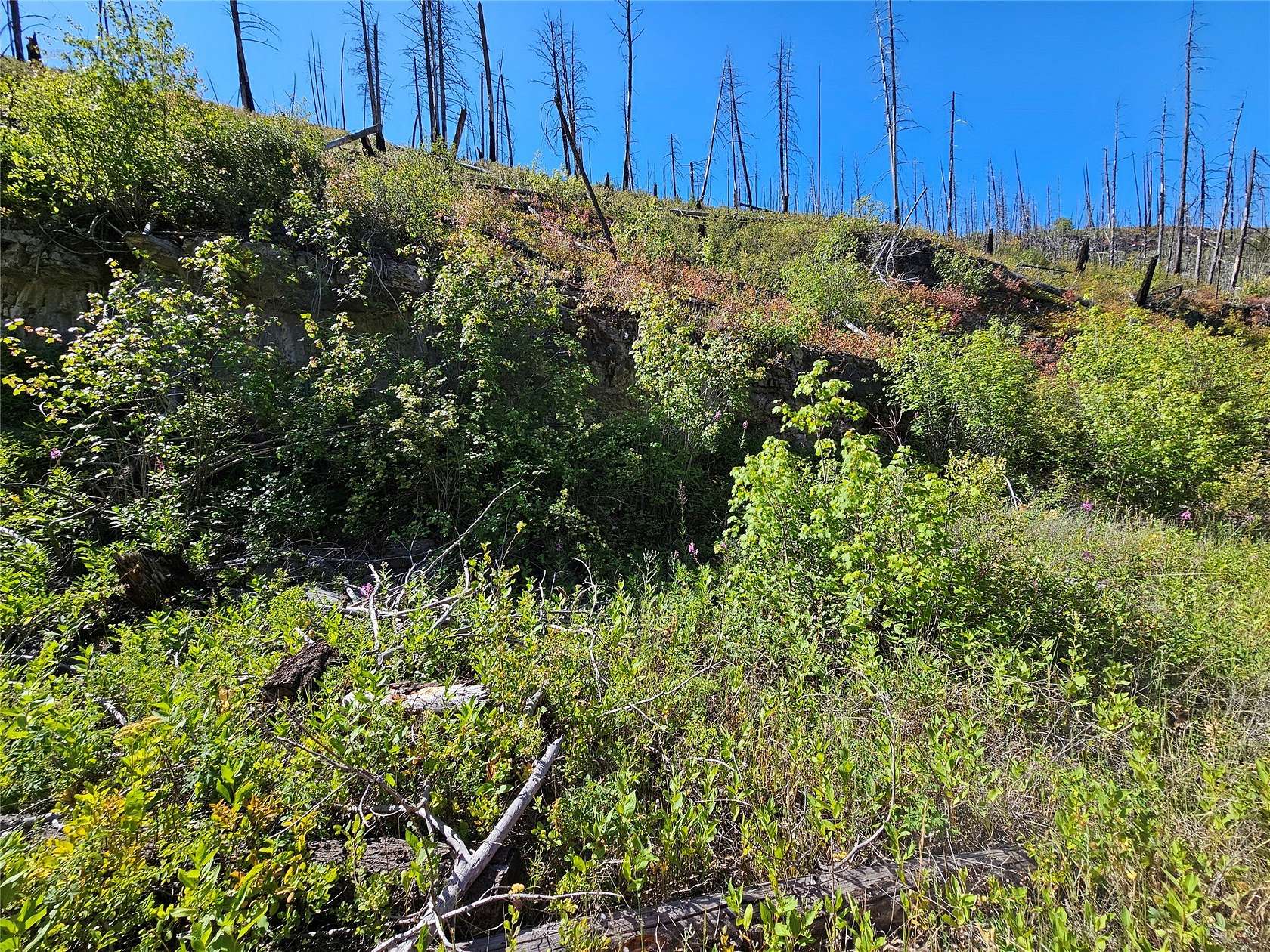 20 Acres of Recreational Land for Sale in Drummond, Montana