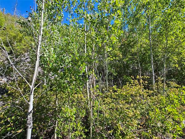 20 Acres of Recreational Land for Sale in Drummond, Montana